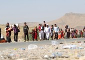 الامم المتحدة: 