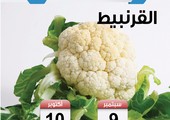 تعرف على موسم زراعة القرنبيط في البحرين