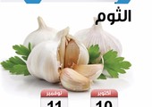 تعرف على موسم زراعة الثوم في البحرين