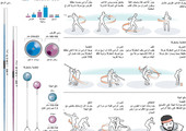 انفوجرافيك... تعرف على رياضة الرمي 