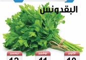 تعرف على موسم زراعة البقدونس في البحرين