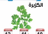 تعرف على موسم زراعة الكزبرة في البحرين
