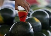 البطيخ «قاهر الحر».. فوائد بالجملة