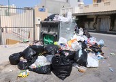 بالصور... القمامة في مدينة عيسى
