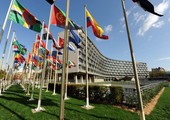 اليونسكو: 60 % من الشعاب المرجانيّة في العالم معرّضة للخطر