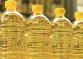 مصر تطرح مناقصة لشراء كمية من زيتي الصويا ودوار الشمس