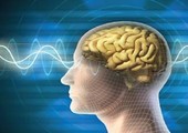  دراسة: أعراض الإصابة مستقبلاً بالزهايمر تظهر منذ الطفولة