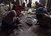 فستق أفغانستان... ذهب أخضر يثير مطامع حركة طالبان! 
