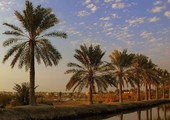 البصرة تسجل ثاني أشد درجة حرارة في العالم