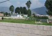 خلاف في باكستان حول تحويل مكان مقتل بن لادن إلى مقبرة أم ملعب
