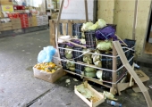 بالفيديو... ﻿شحنات فواكه وخضراوات إلى القمامة بسبب غياب التكييف في «المنامة المركزي»