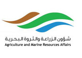 بدء فترة حظر صيد الكنعد وتداوله اعتباراً من 15 أغسطس الجاري... و 