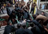 بالصور... سنغافورة تعيد خرفان البحر الى المحيط الاطلسي بعدما شارفت على الانقراض