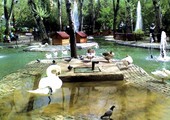 متنزه كوغولو في أنقرة... حديقة البجع