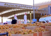 السعودية: مهرجان بريدة للتمور يعرض أكثر من 35 نوعاً من الانتاج