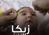 49 امرأة مصابة بفيروس زيكا في نيويورك