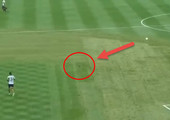 بالفيديو... لاعب يقتل طائراً بتسديدة كرة قدم!