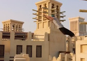 بالفيديو... مغامرة القفز الحر فوق أسطح مدينة جميرا الاماراتية