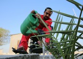 تفاعلاً مع ما نشرته 