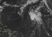 المركز الأميركي للأعاصير: جوليا تتحول إلى عاصفة مجددا