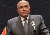 وزير الخارجية المصري يقر بتباين في الرؤى مع السعودية حول سورية