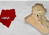 امرأة تقتل عنصرا بـ