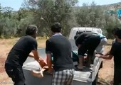 مقتل القيادي العسكري في حركة أحرار الشام أبو منير الدبوس