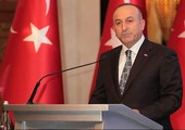 وزير الخارجية التركي: مدينة الباب هي الهدف التالي في سورية