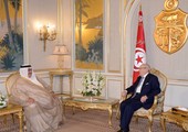 وزير الخارجية يلتقي الرئيس التونسي ويشدد على الحرص بتعزيز العلاقات بين البلدين