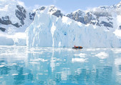 الأنظار شاخصة إلى روسيا بشأن إقامة محميتين بحريتين في انتاركتيكا