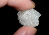 جمارك نيوزيلندا تضبط 176 كيلوجراما من مخدر الميثامفيتامين