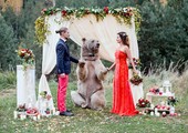 بالصور: فقط في روسيا... دبٌّ شاهد لحفلات الزفاف! 