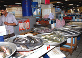 ارتفاع تراخيص الصيد البحري وتدهور أرصدة المخزون السمكي