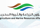 تصدير 11.6 مليون كيلوغرام من الأسماك والروبيان خلال 2014 و2015