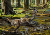 العثور على نوع من الديناصورات في الصين لم يكن معروفاً من قبل