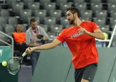 سيليتش يأمل إنهاء مسيرته الاستثنائية هذا الموسم بالفوز بكأس ديفيز أمام الأرجنتين