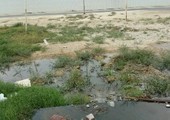 بالفيديو والصور... أهالي مجمع 1048 بدار كليب يشكون انتشار الروائح الكريهة بفعل فيضان المياه بنقاط الصرف الصحي
