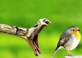 قصة قصيرة... جريان القدر