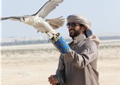ناصر بن حمد يوجه لتمديد فترة التسجيل لمسابقة البحرين للصقور والصيد