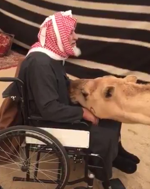بالفيديو... لحظة 