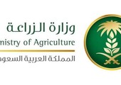 السعودية... «الزراعة» تتوسع في استيراد «الماشية» ... وتصعّد مواجهتها مع «التجار»