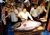 بالصور: سمكة تونة بـ 74.2 مليون ين في اليابان 