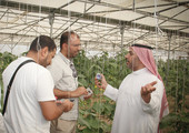 «الأسطح الخضراء» في زيارة علمية وتعليمية للأحساء بالسعودية