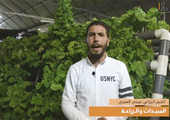 بالفيديو... المبيدات والزراعة... مع الخبير الزراعي عيسى العمري