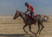 بالصور... ناصر بن حمد: نعتز بالمستويات الكبيرة التي قدمها الفرسان في مراحل السباق