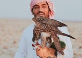 ناصر بن حمد: إنجازات صقارة البحرين خارجياً ترفع راية البحرين في المحافل الكبيرة