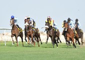 60 جواداً ومنافسات منتظرة على كؤوس اللكزس وفطيس الهاجري في السباق الـ 13 للخيل