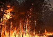 ارتفاع حصيلة وفيات حرائق الغابات في تشيلي إلى تسعة أشخاص