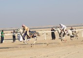 بالصور... 