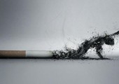 التدخين يستحوذ على 6 % من نفقات الصحة و2 % من الداخلي